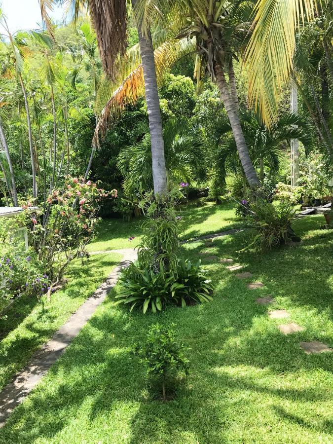 Studio Charmant Au Coeur De Boucan Canot 30 M² Avec Jardin Prive Saint-Paul المظهر الخارجي الصورة